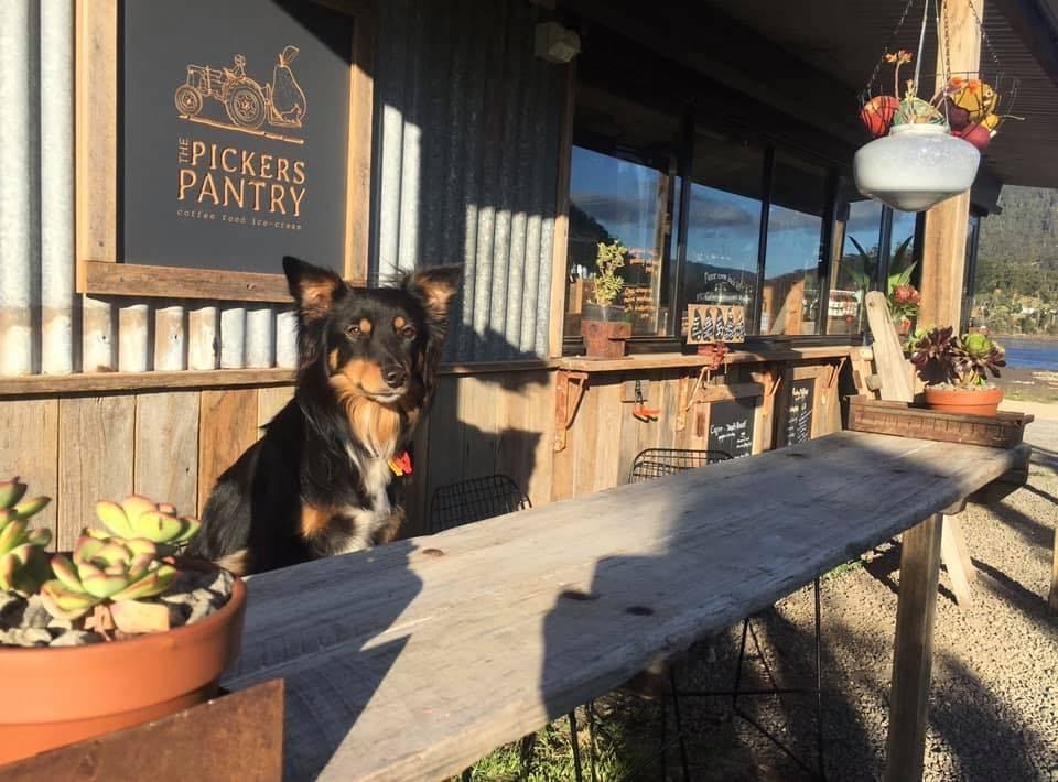 The Pickers Pantry