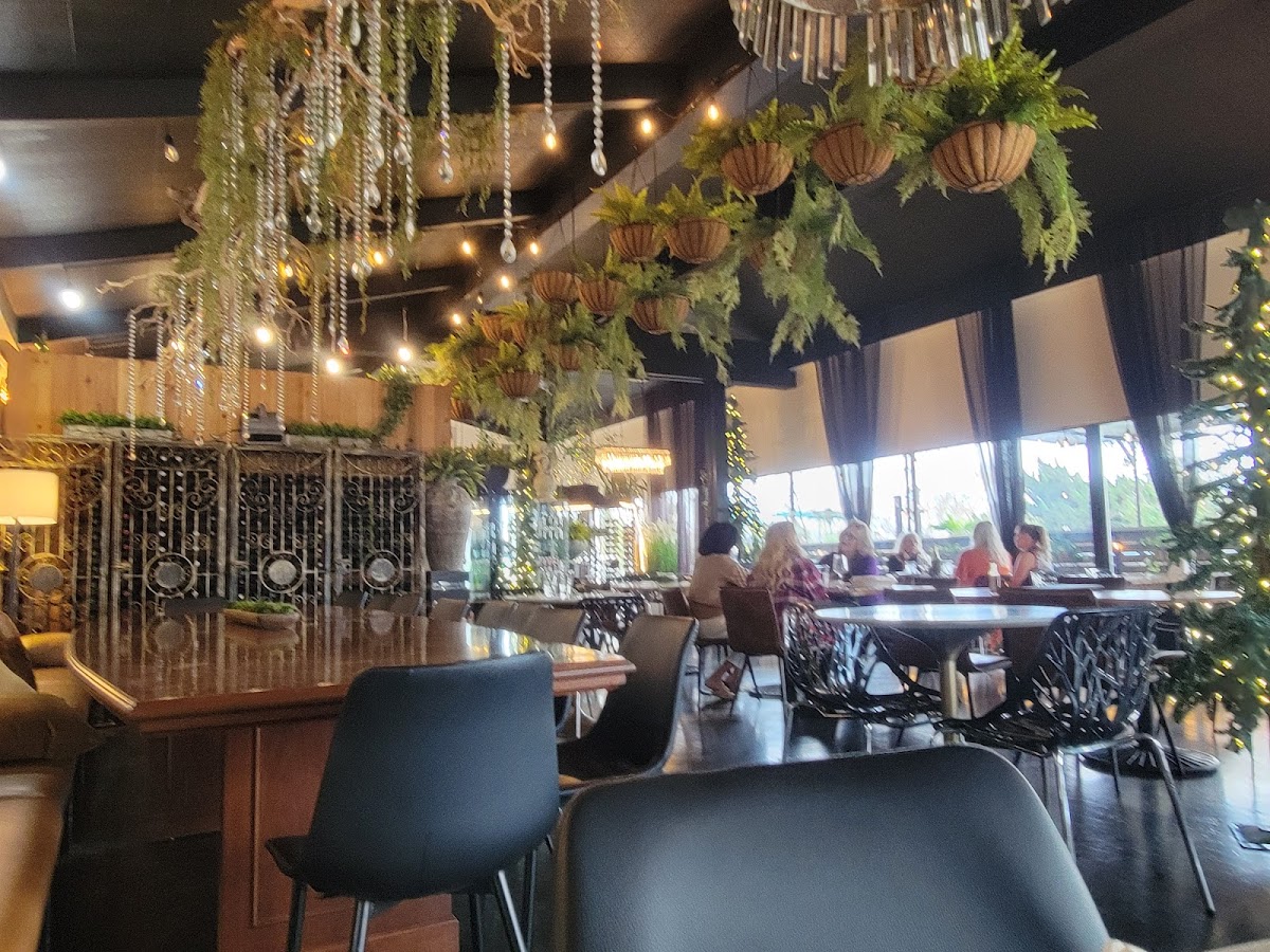 LOZA Kitchen & Bar