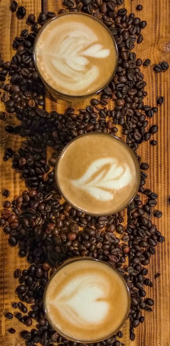 Logic Coffee ULBI - Photo 2
