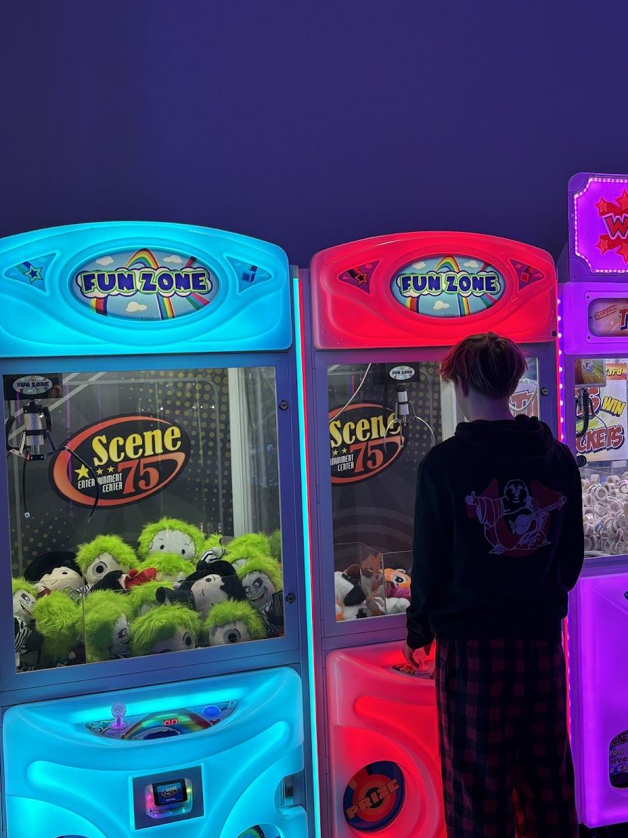 Scene75 Entertainment Center Chicagoland - Photo 9