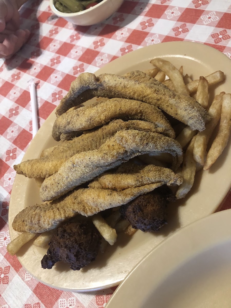 Carl’s Catfish Hut - Photo 5