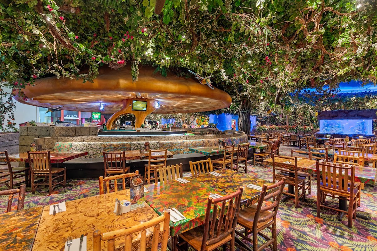 Rainforest Cafe