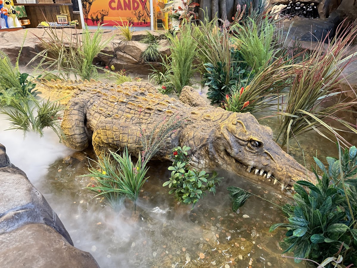 Rainforest Cafe - Photo 9