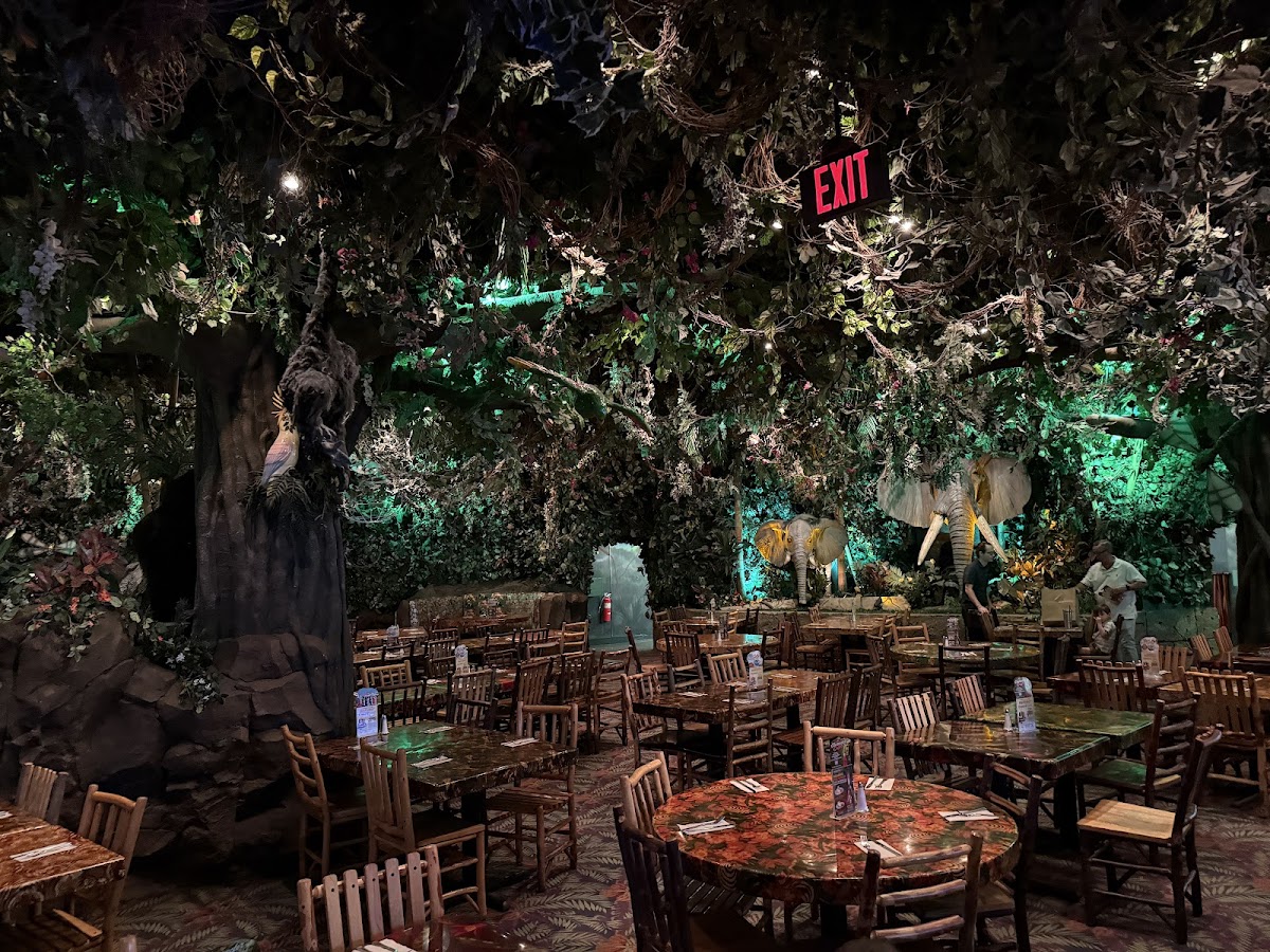 Rainforest Cafe - Photo 3