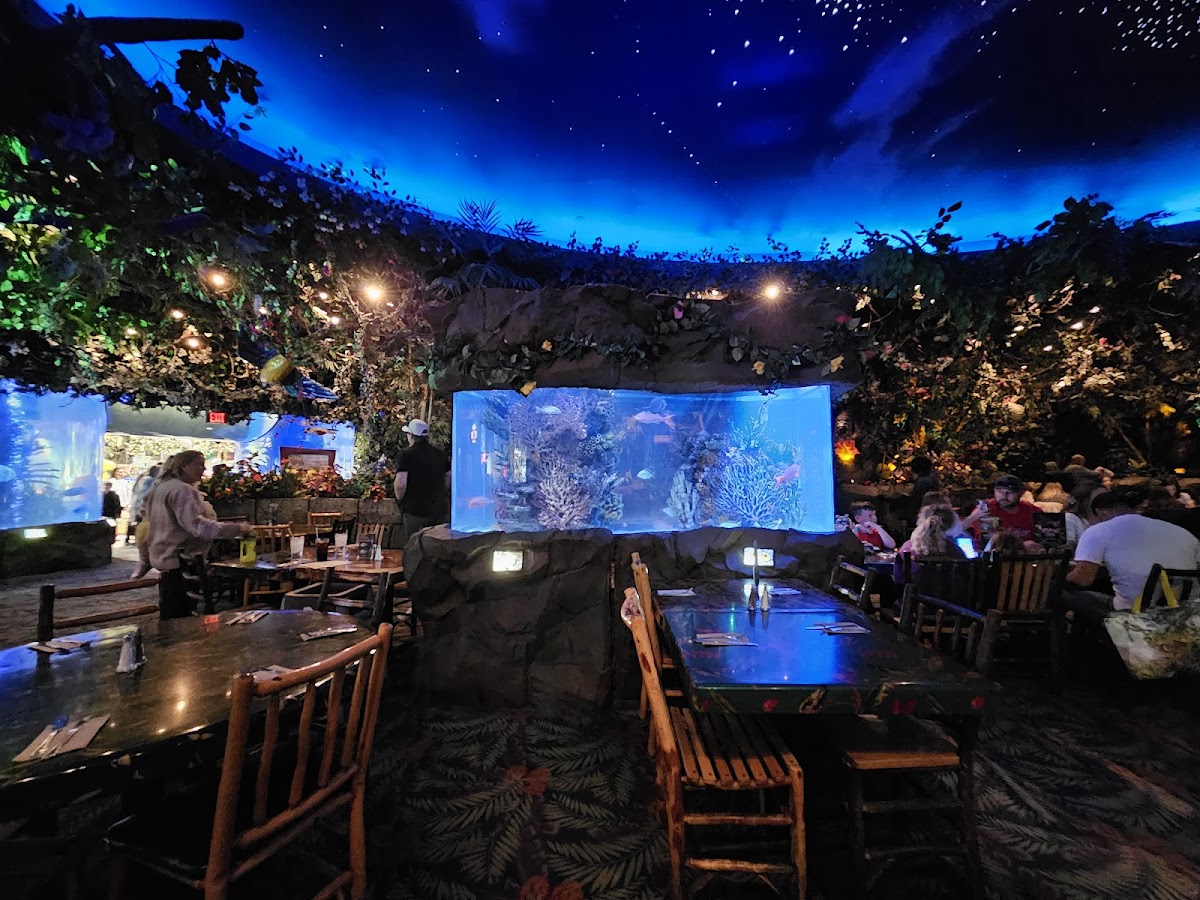 Rainforest Cafe - Photo 5