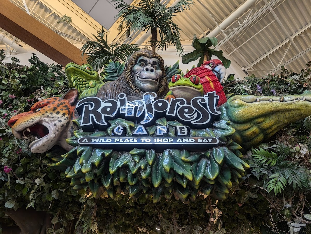 Rainforest Cafe - Photo 7