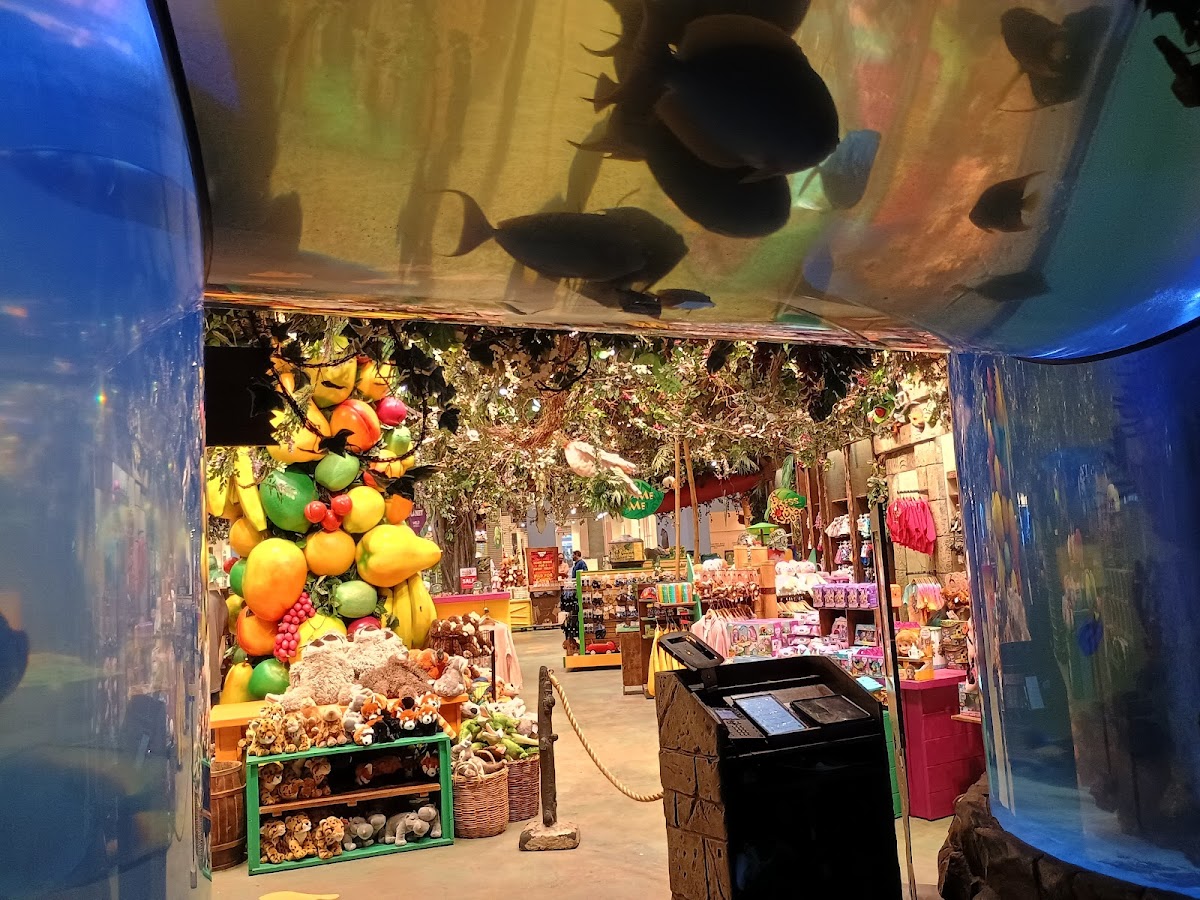 Rainforest Cafe - Photo 8