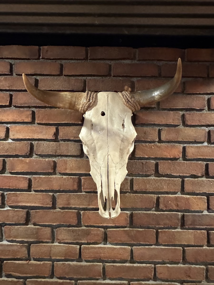 TJ’s Steakhouse & Tavern, LLC - Photo 2