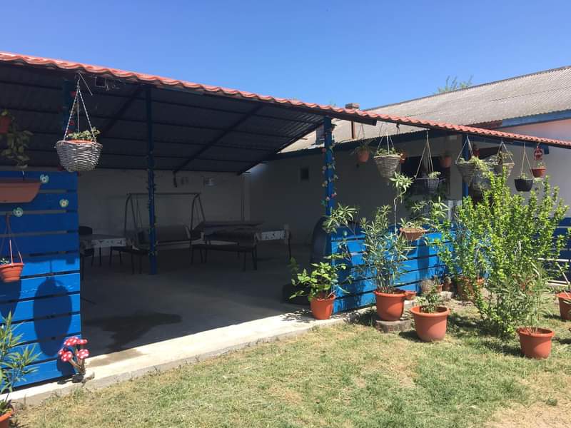 Nufărul Alb - Photo 3