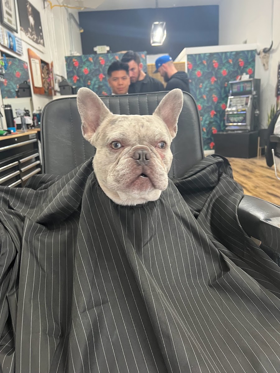 Ralph's Barbershop - Photo 3