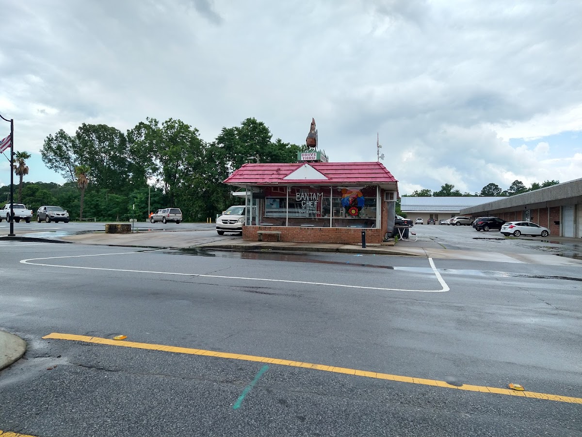 Bantam Chef of Walhalla - Photo 2