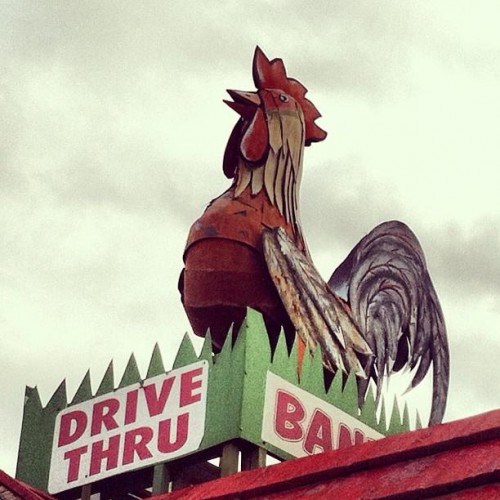 Bantam Chef of Walhalla - Photo 4