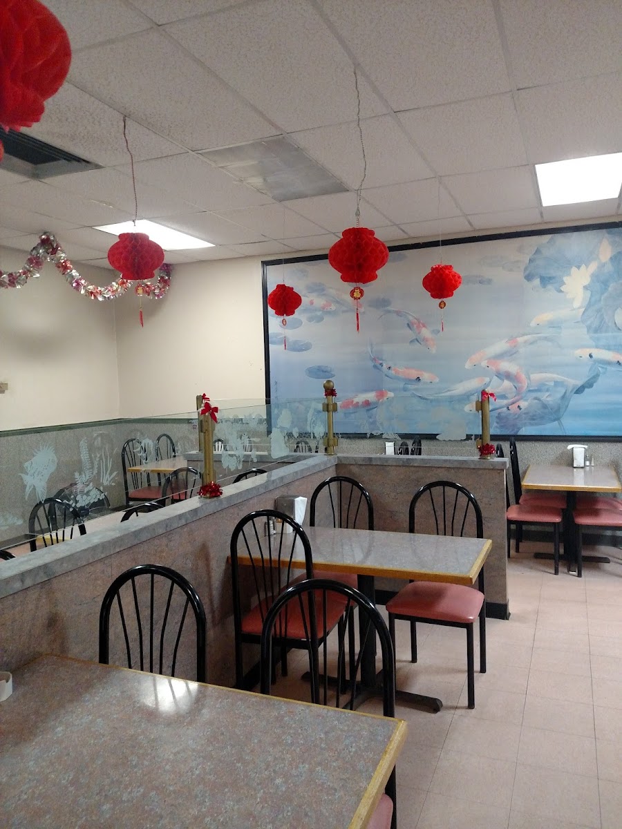 Jin Jin Chinese Restaurant - Photo 3