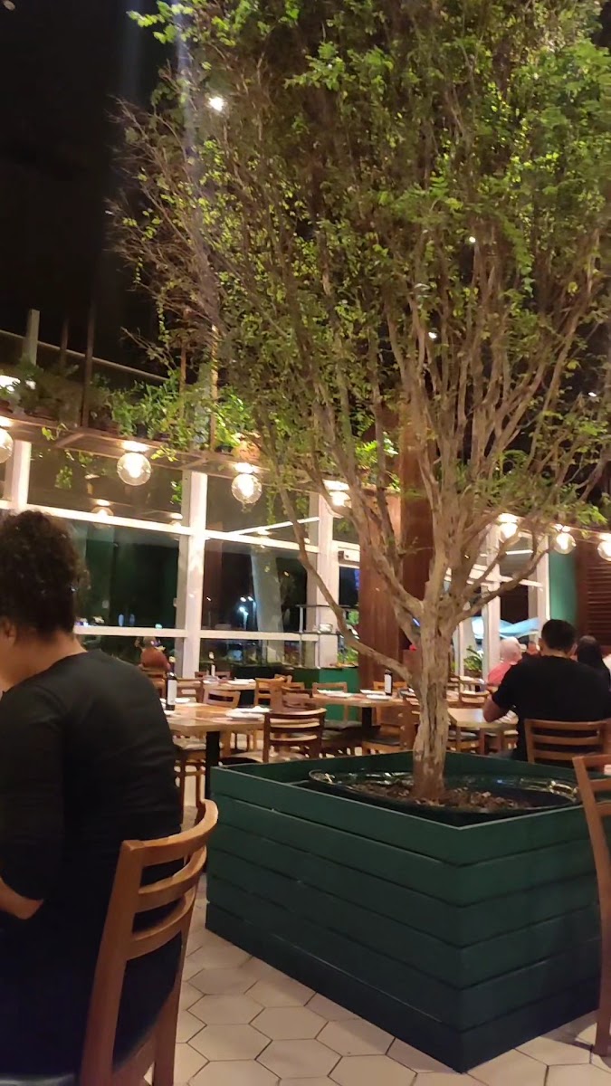 Zio Cucina (Bosque Grao-Para) - Photo 1