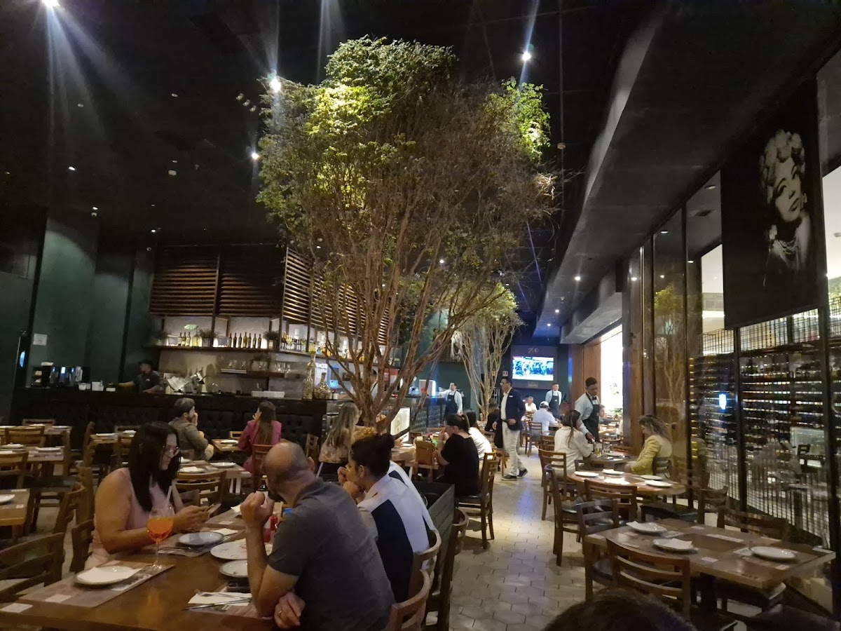 Zio Cucina (Bosque Grao-Para) - Photo 2