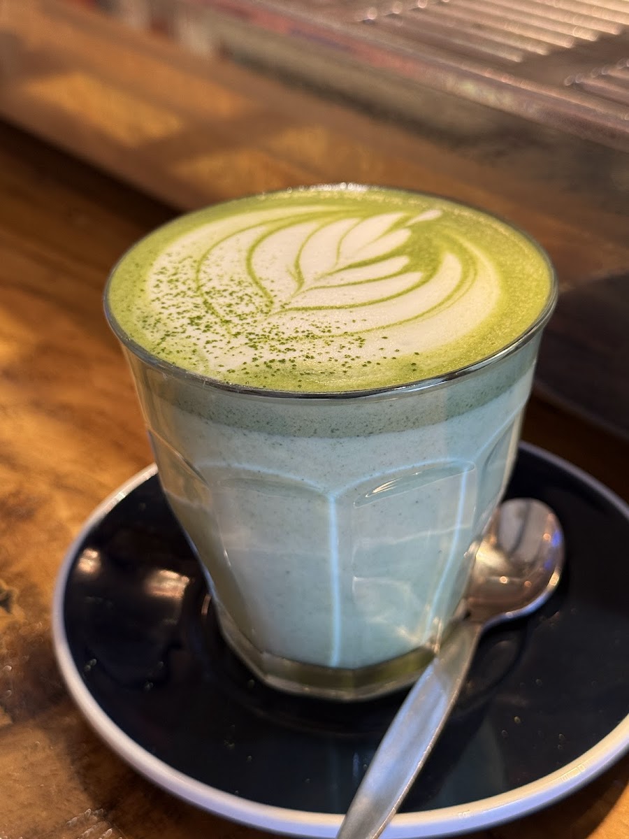 SOUL OASIS GLEBE - Photo 8