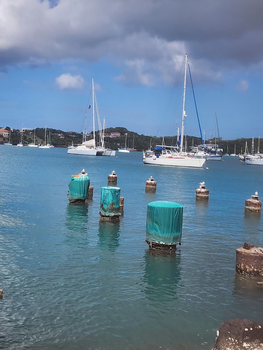 Prickly Bay Restaurant & Bar - Photo 4
