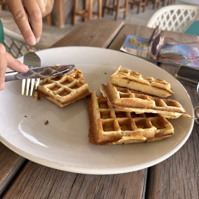 Home Made Waffles