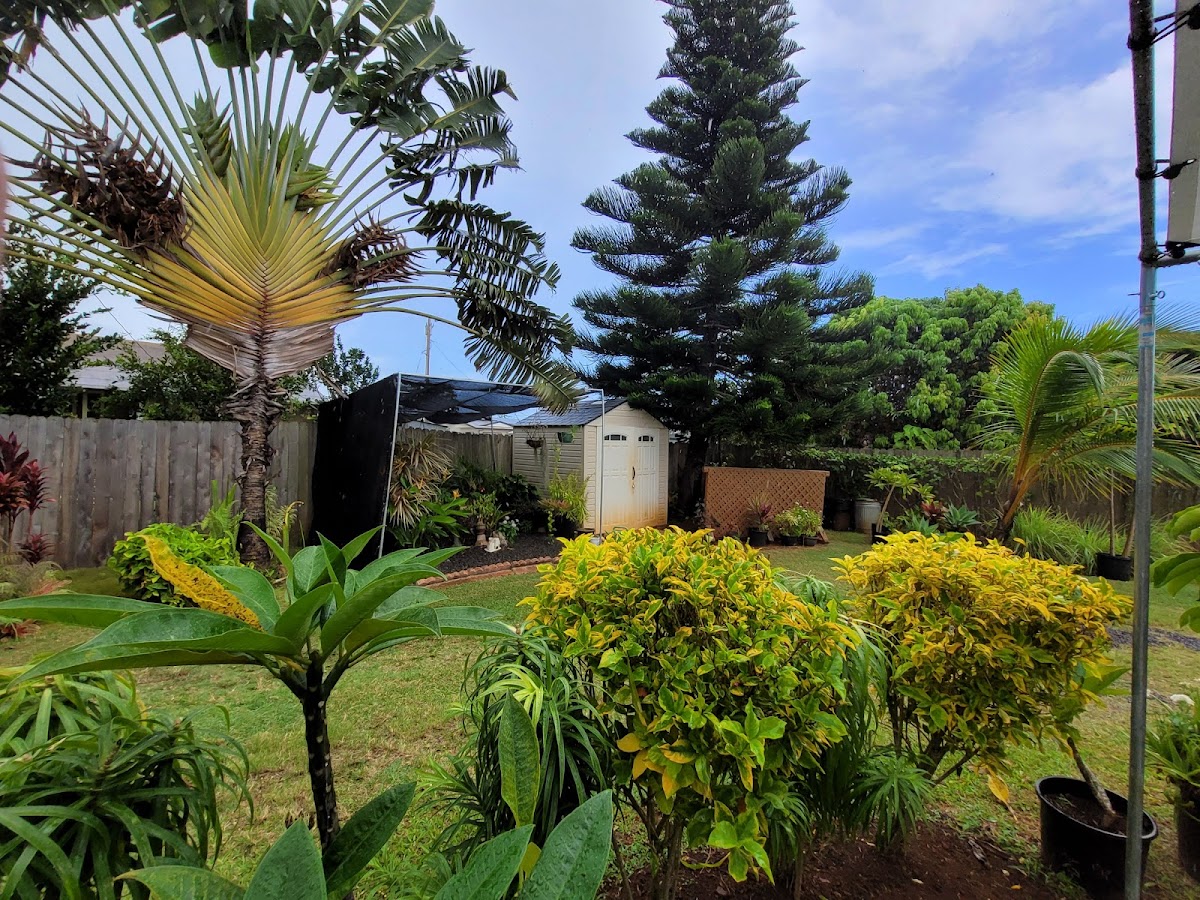 The Greenery Cafe - Photo 3