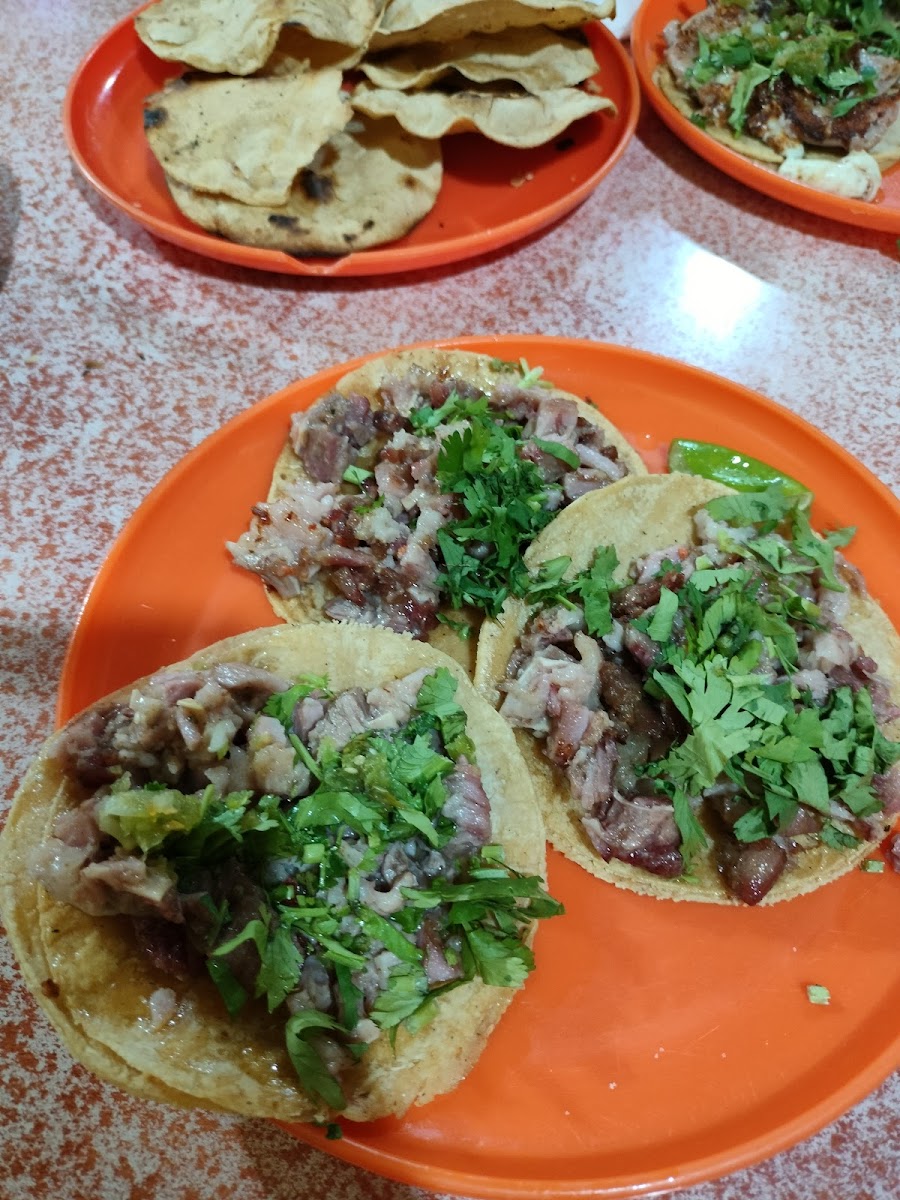 Taquería El Águila - Photo 3