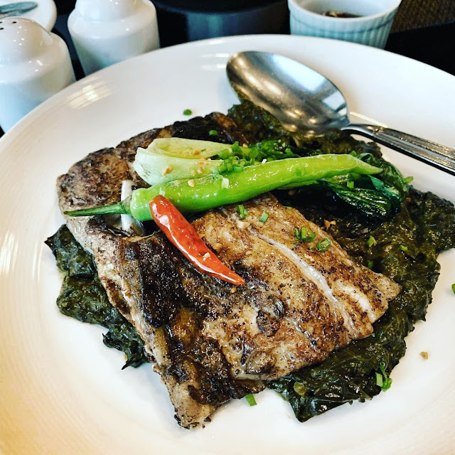Bangus