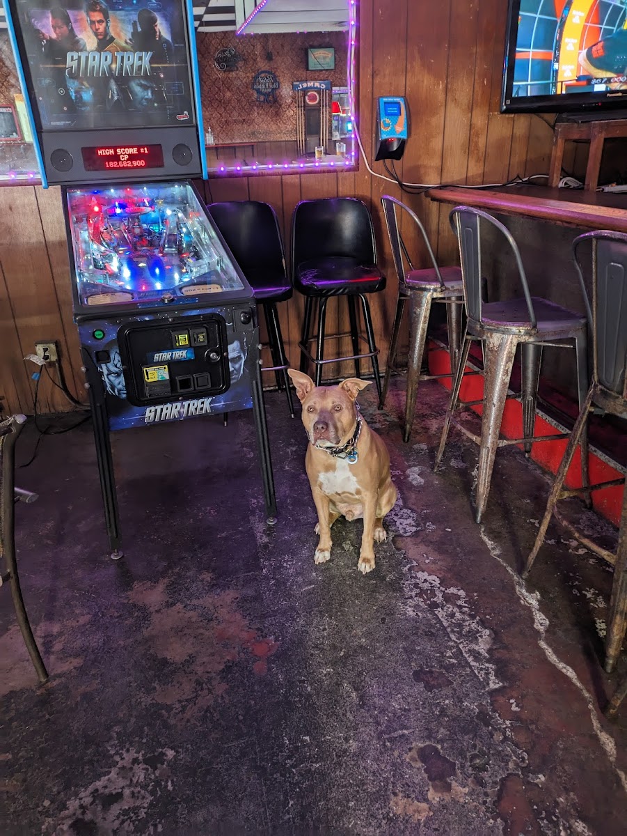 HyRoy's Bar - Photo 4