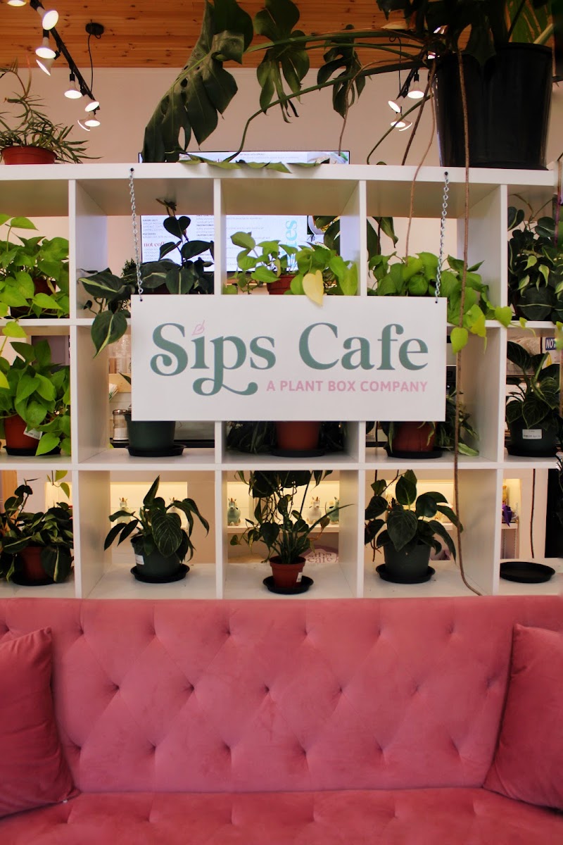 Sips Cafe - Downtown York - Photo 9