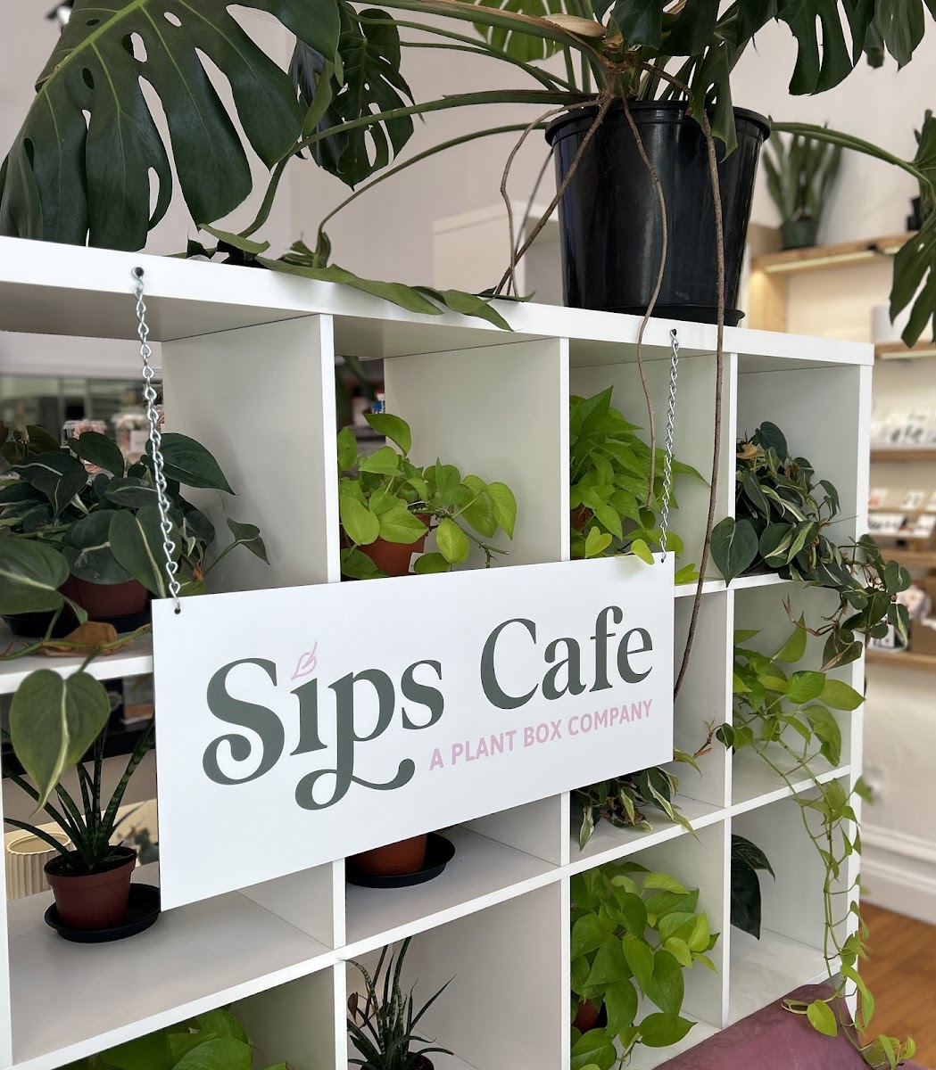Sips Cafe - Downtown York - Photo 2