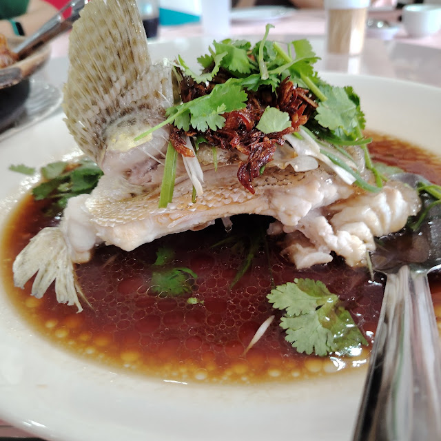 Side View of Grouper Fish Head