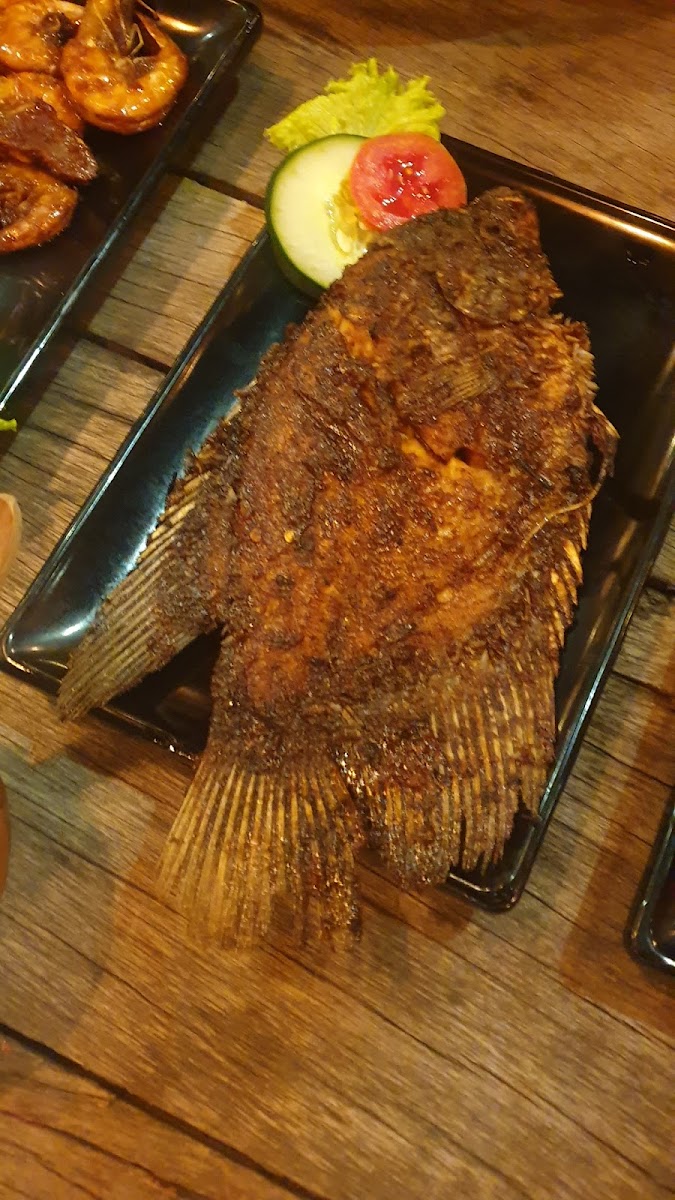 Bhoomi Restaurant - Photo 8