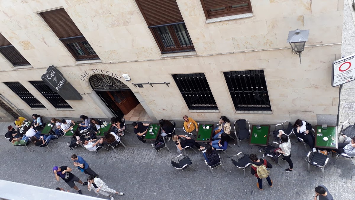 Café Puccini - Photo 3