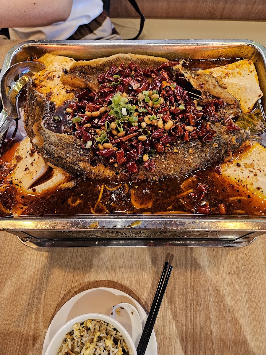Qia 恰鱼 Yu Grilled Fish House - Photo 5