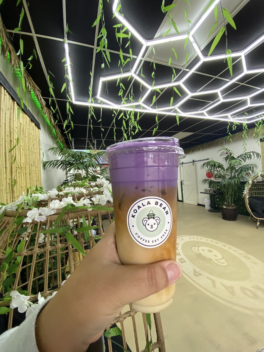 Koala Bean Coffee - Photo 7