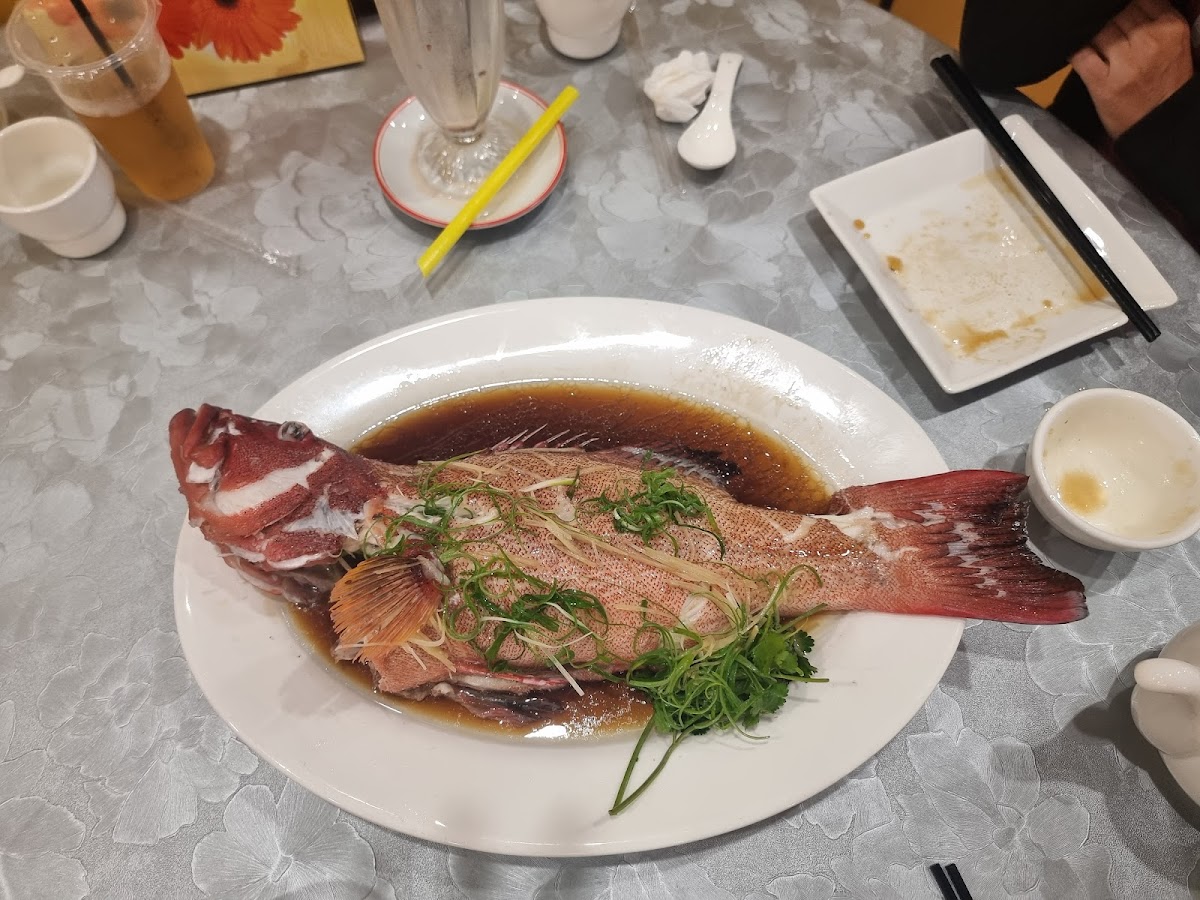 9 Seafood Restaurant (新竺海鮮酒家) - Photo 9