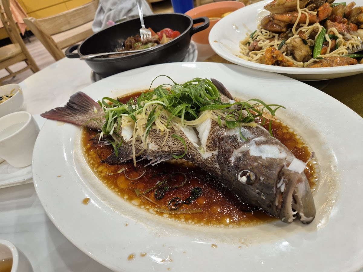 9 Seafood Restaurant (新竺海鮮酒家) - Photo 4