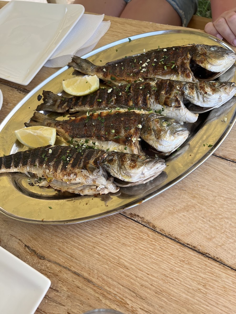 Fast Food Oblica - Food4you - Photo 7