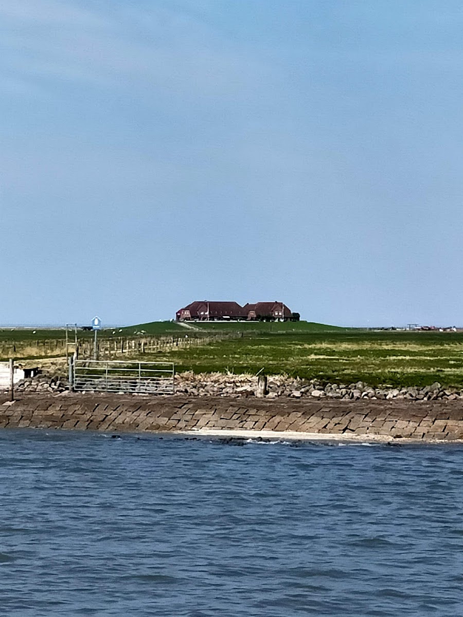Hallig-Krog Nordstrandischmoor - Photo 2