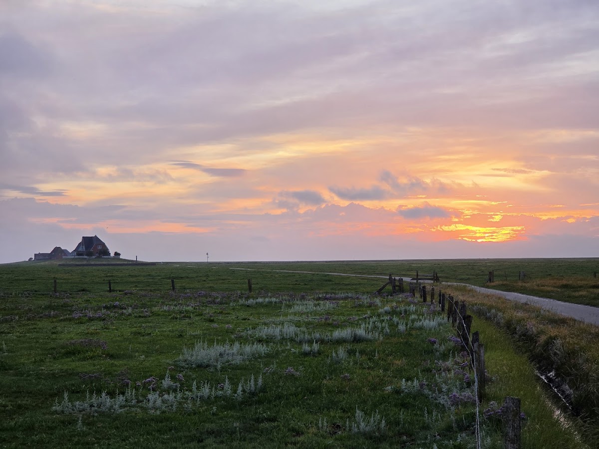 Hallig-Krog Nordstrandischmoor - Photo 3