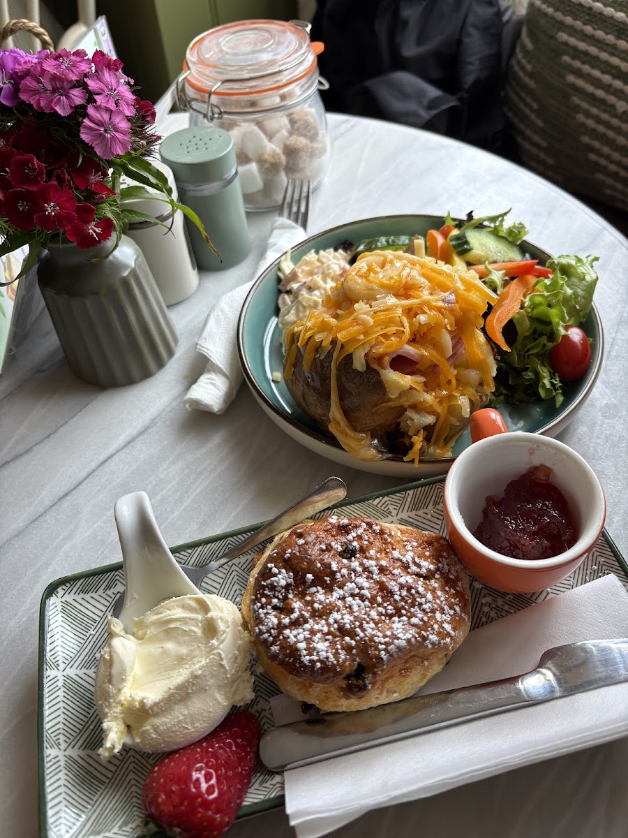 Cocoa Tree Cafe - Photo 2