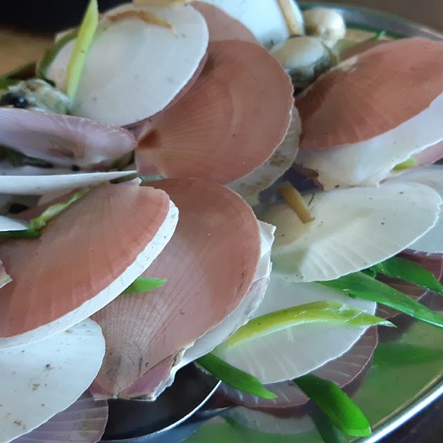 Kerang Simping