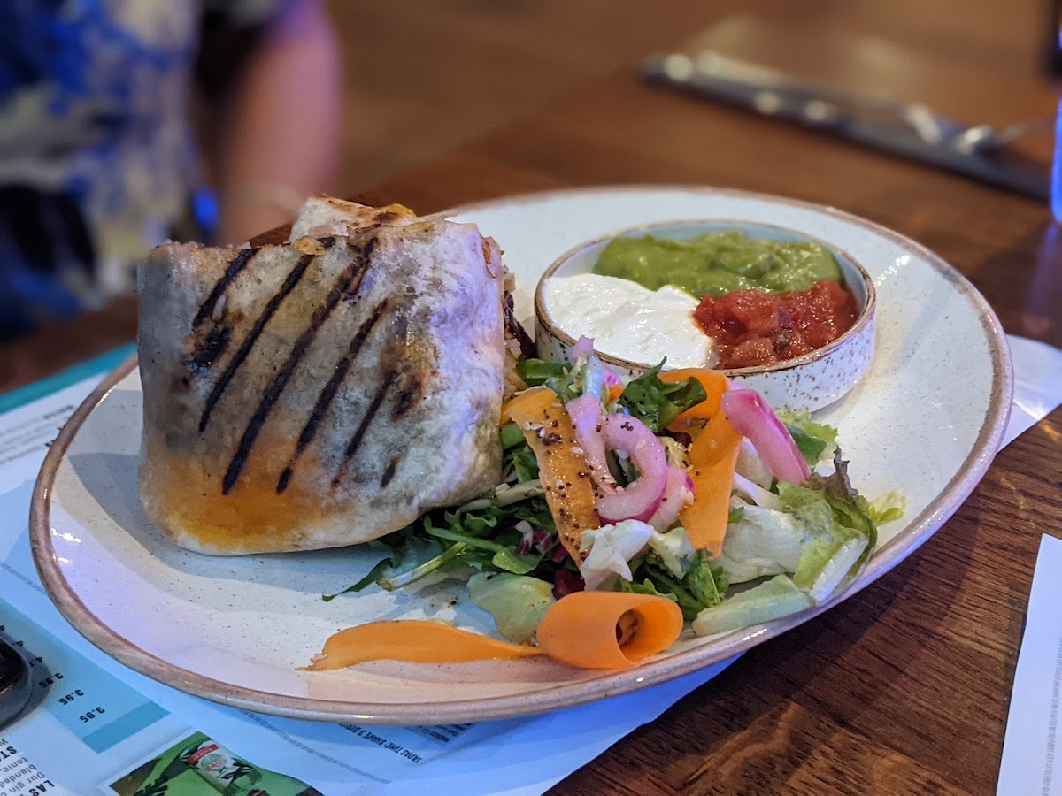 Casa Iguanas - Photo 1