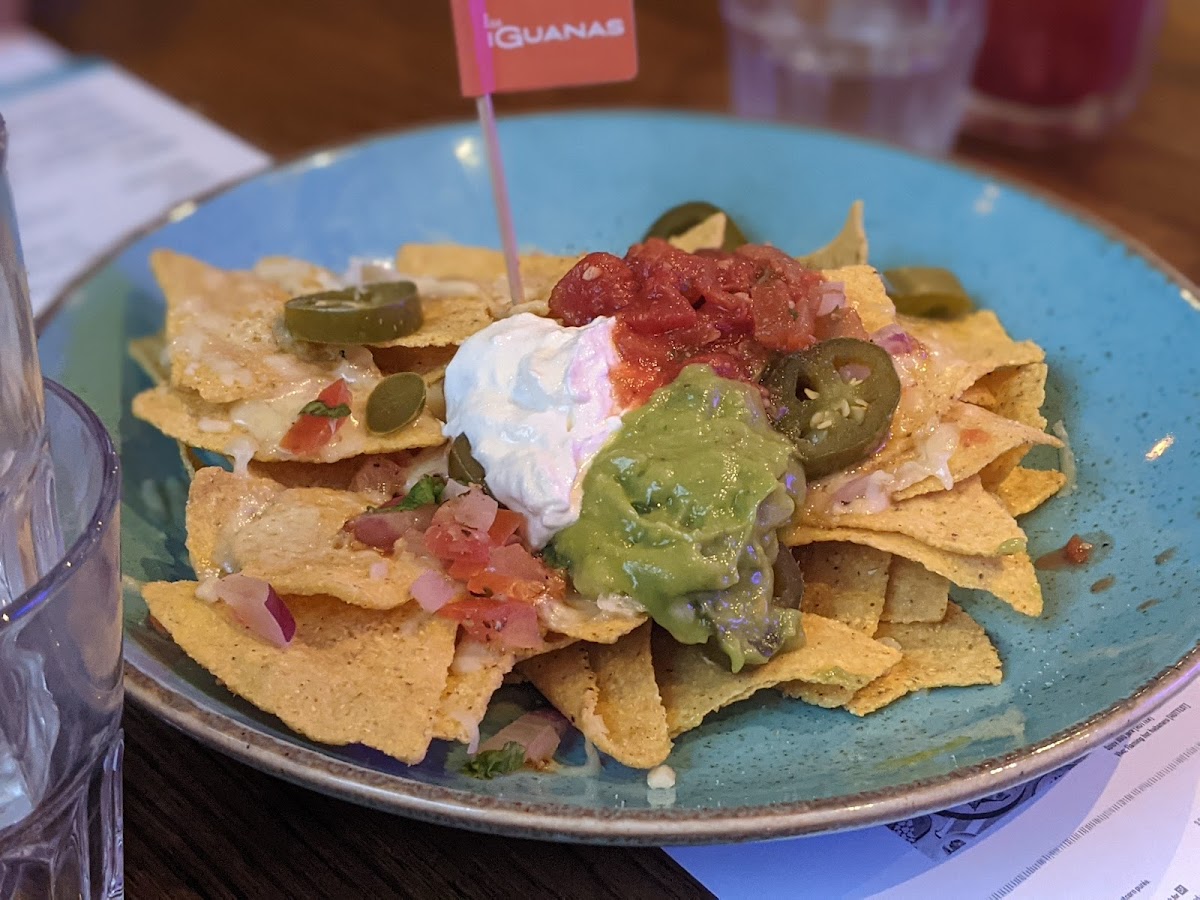 Casa Iguanas - Photo 5
