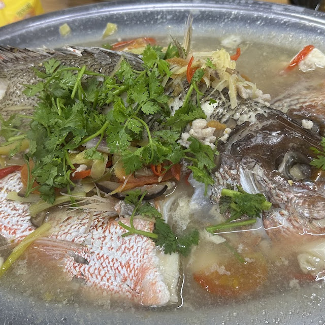 Steam Fish