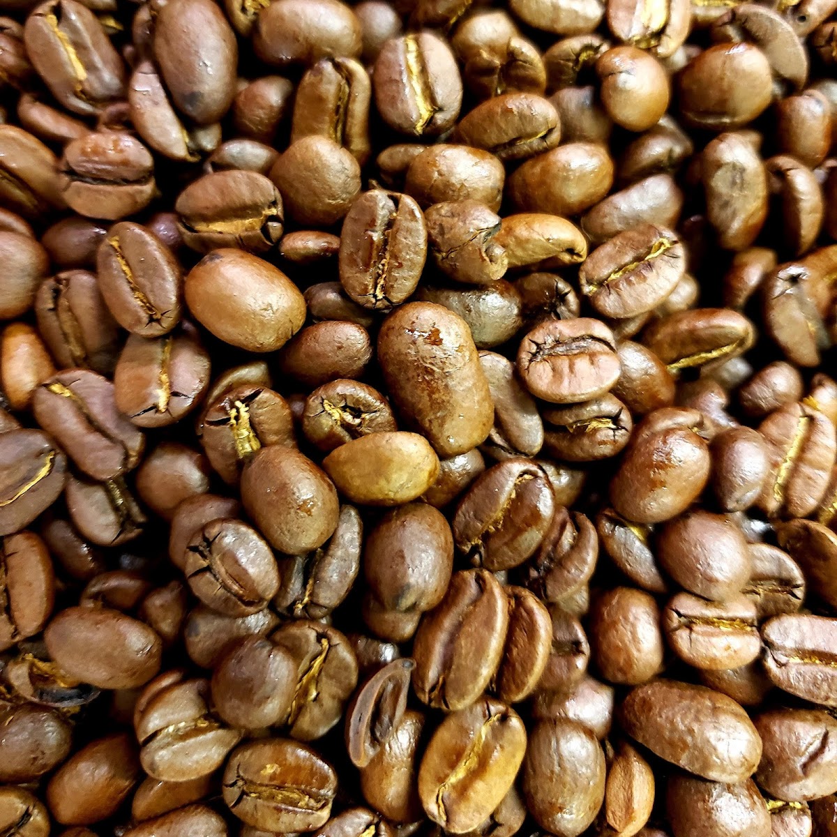 Your Daily Grind - Photo 6