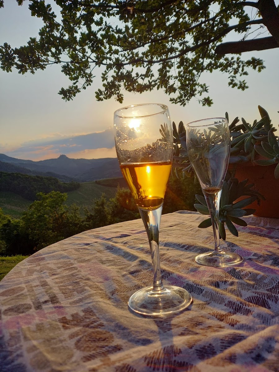 Home restaurant Il Poggio - Photo 8