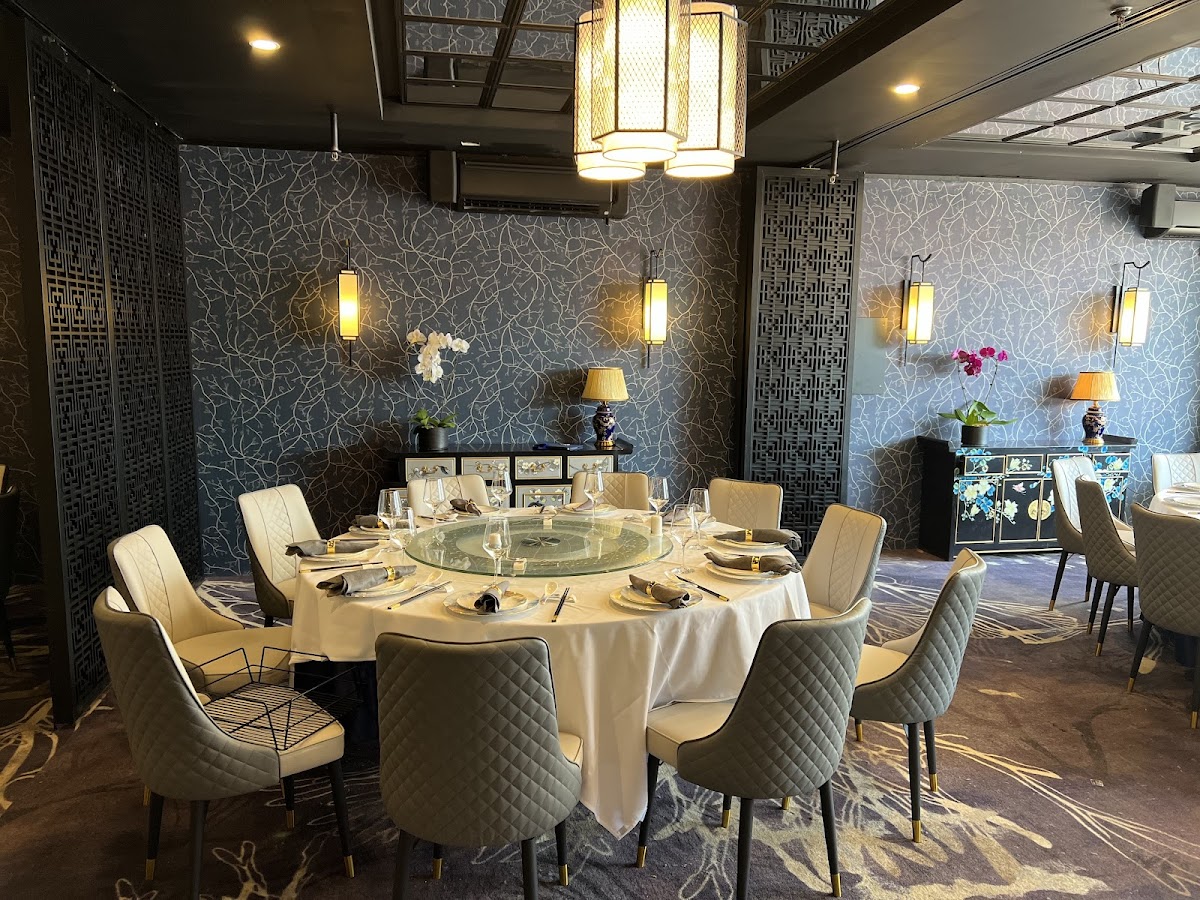 Moon Flower Modern Chinese