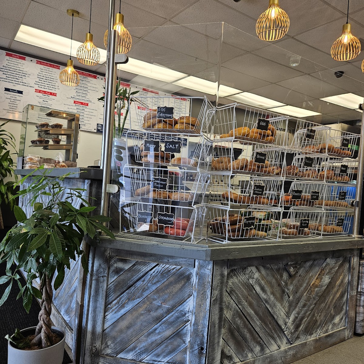 All Star Bagel & Grill of Morrisville - Photo 2