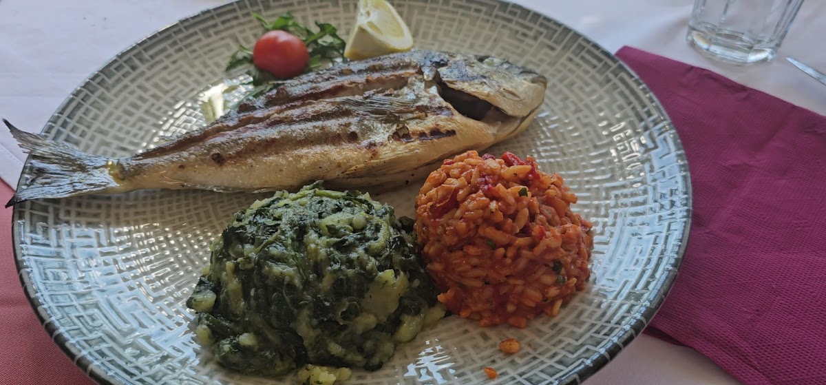 Adriana Restaurant - Kavana - Photo 1