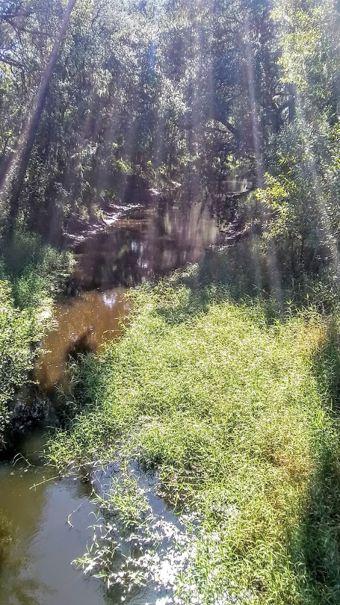 Kelly's Hideaway - Photo 8