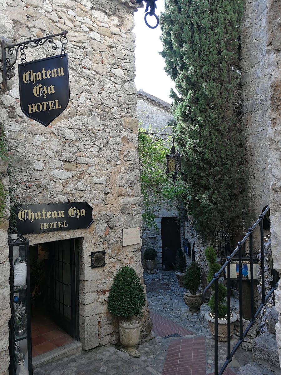 Le Cactus